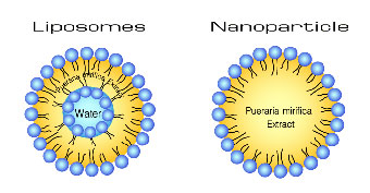 liposome-nanoparticle